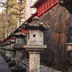 宮井先生