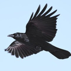 阿久田先生